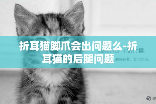 折耳貓腳爪會出問題么-折耳貓的后腿問題