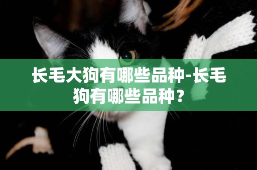 長毛大狗有哪些品種-長毛狗有哪些品種？