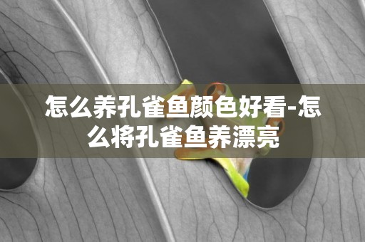 怎么養孔雀魚顏色好看-怎么將孔雀魚養漂亮