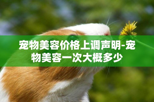 寵物美容價格上調聲明-寵物美容一次大概多少