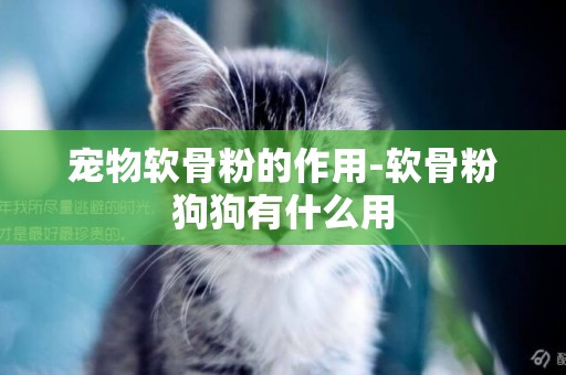 寵物軟骨粉的作用-軟骨粉狗狗有什么用