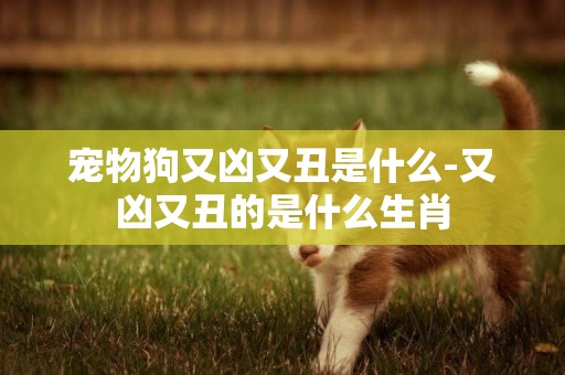 寵物狗又兇又丑是什么-又兇又丑的是什么生肖
