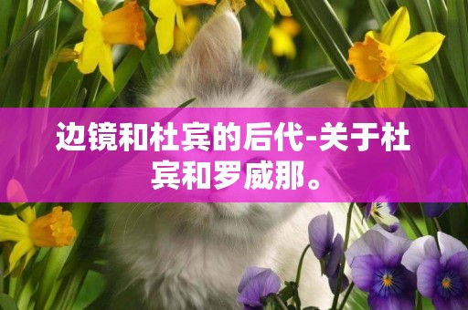 邊鏡和杜賓的后代-關于杜賓和羅威那。