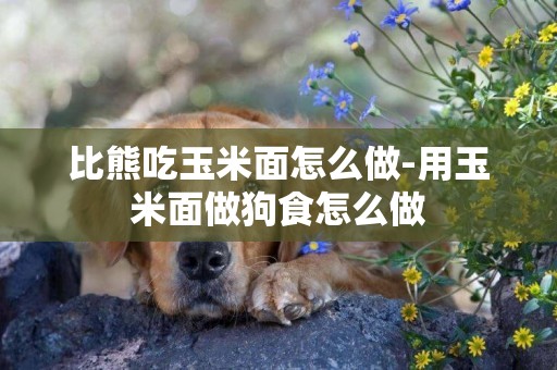 比熊吃玉米面怎么做-用玉米面做狗食怎么做