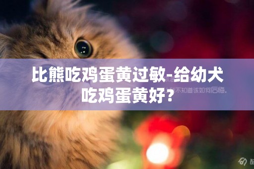 比熊吃雞蛋黃過敏-給幼犬吃雞蛋黃好？