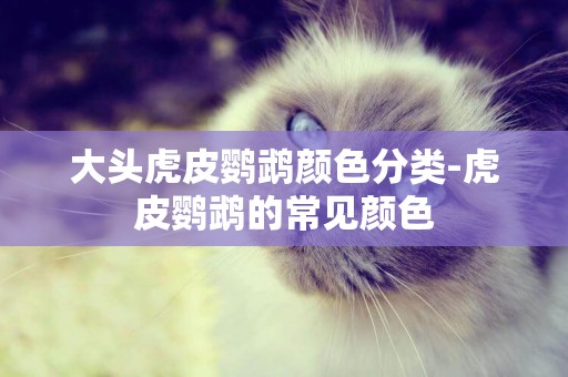 大頭虎皮鸚鵡顏色分類-虎皮鸚鵡的常見顏色