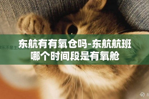 東航有有氧倉嗎-東航航班哪個時間段是有氧艙