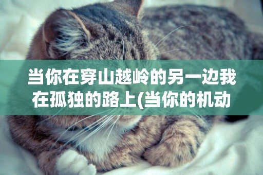 當你在穿山越嶺的另一邊我在孤獨的路上(當你的機動車駕駛證有效期超過一年以上未換證) 