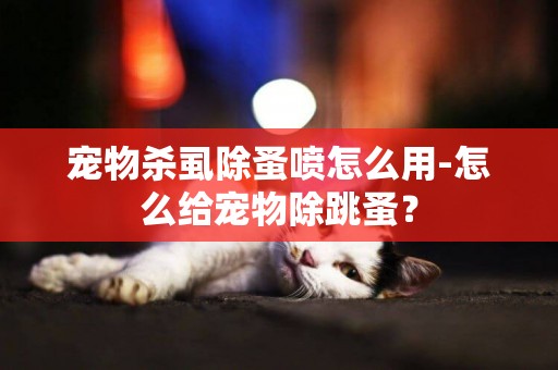 寵物殺虱除蚤噴怎么用-怎么給寵物除跳蚤？