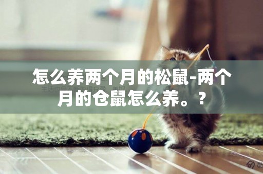 怎么養兩個月的松鼠-兩個月的倉鼠怎么養。？