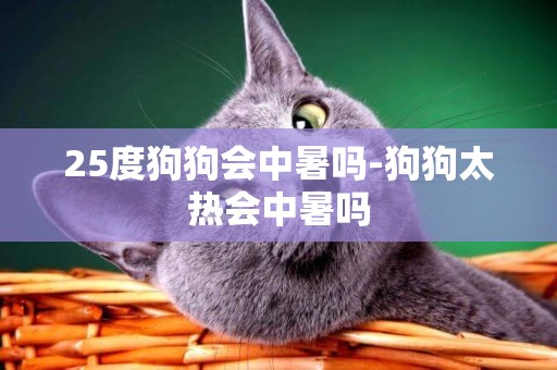 25度狗狗會中暑嗎-狗狗太熱會中暑嗎