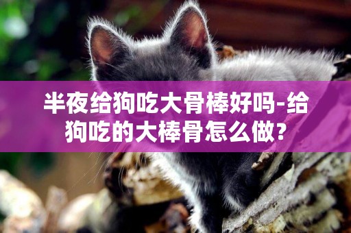 半夜給狗吃大骨棒好嗎-給狗吃的大棒骨怎么做？