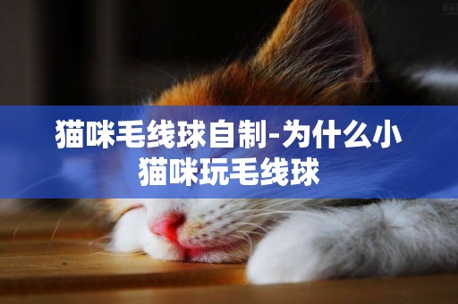 貓咪毛線球自制-為什么小貓咪玩毛線球