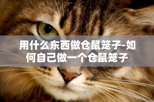用什么東西做倉鼠籠子-如何自己做一個倉鼠籠子