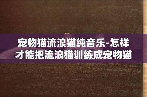 寵物貓流浪貓純音樂-怎樣才能把流浪貓訓練成寵物貓