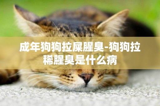 成年狗狗拉屎腥臭-狗狗拉稀腥臭是什么病