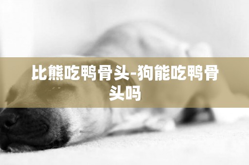 比熊吃鴨骨頭-狗能吃鴨骨頭嗎