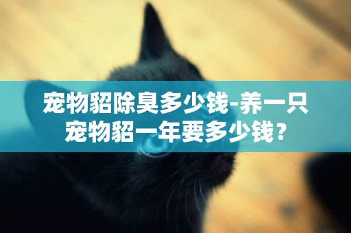 寵物貂除臭多少錢-養一只寵物貂一年要多少錢？