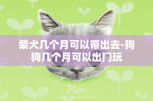 柴犬幾個月可以帶出去-狗狗幾個月可以出門玩