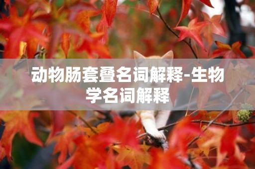 動物腸套疊名詞解釋-生物學名詞解釋