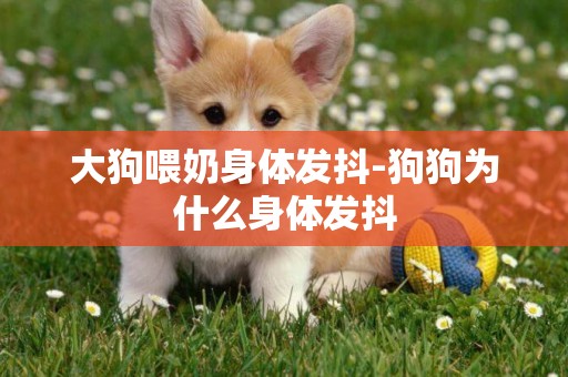 大狗喂奶身體發抖-狗狗為什么身體發抖