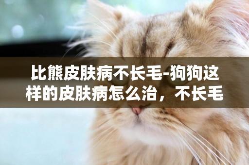 比熊皮膚病不長毛-狗狗這樣的皮膚病怎么治，不長毛