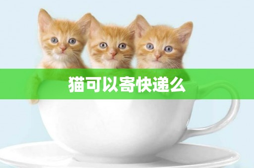 貓可以寄快遞么