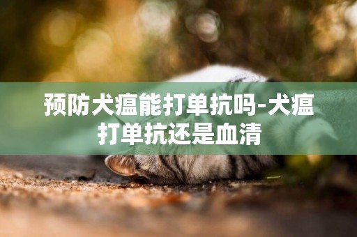 預防犬瘟能打單抗嗎-犬瘟打單抗還是血清