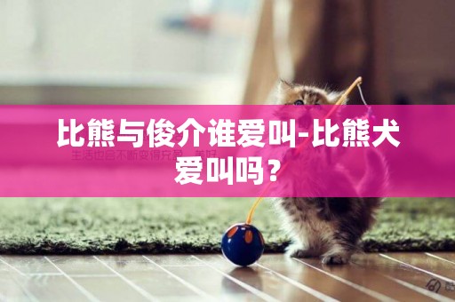 比熊與俊介誰愛叫-比熊犬愛叫嗎？