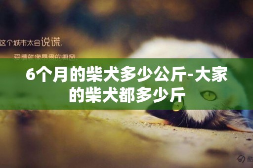6個月的柴犬多少公斤-大家的柴犬都多少斤