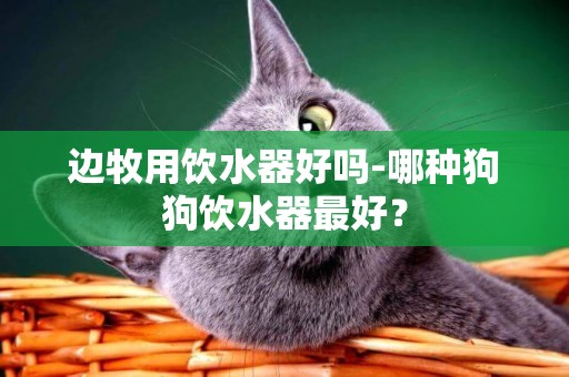 邊牧用飲水器好嗎-哪種狗狗飲水器最好？