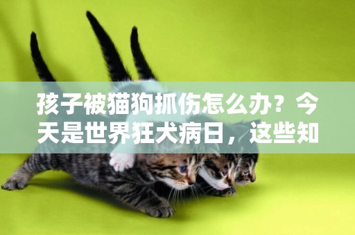 孩子被貓狗抓傷怎么辦？今天是世界狂犬病日，這些知識一定要早知道 