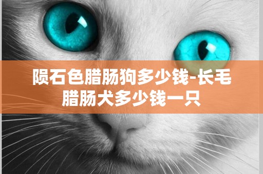 隕石色臘腸狗多少錢-長毛臘腸犬多少錢一只