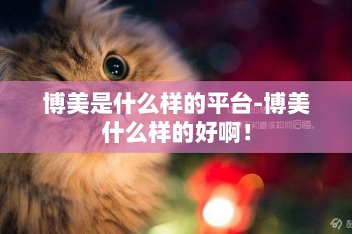 博美是什么樣的平臺-博美什么樣的好啊！