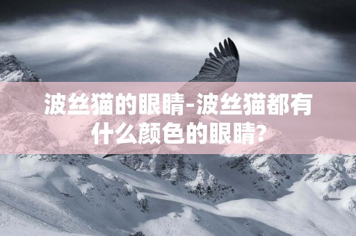 波絲貓的眼睛-波絲貓都有什么顏色的眼睛?