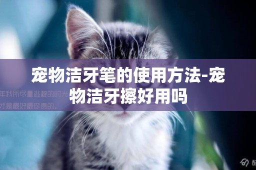 寵物潔牙筆的使用方法-寵物潔牙擦好用嗎