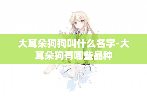 大耳朵狗狗叫什么名字-大耳朵狗有哪些品種
