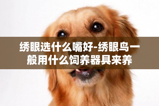 繡眼選什么嘴好-繡眼鳥一般用什么飼養器具來養