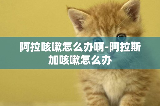 阿拉咳嗽怎么辦啊-阿拉斯加咳嗽怎么辦