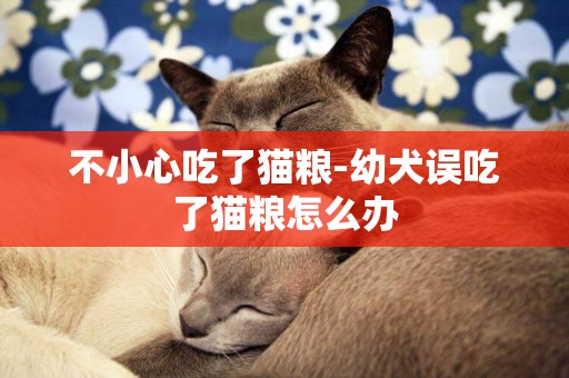 不小心吃了貓糧-幼犬誤吃了貓糧怎么辦