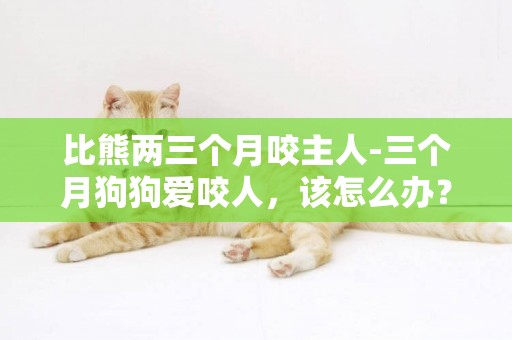 比熊兩三個月咬主人-三個月狗狗愛咬人，該怎么辦？