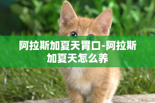 阿拉斯加夏天胃口-阿拉斯加夏天怎么養