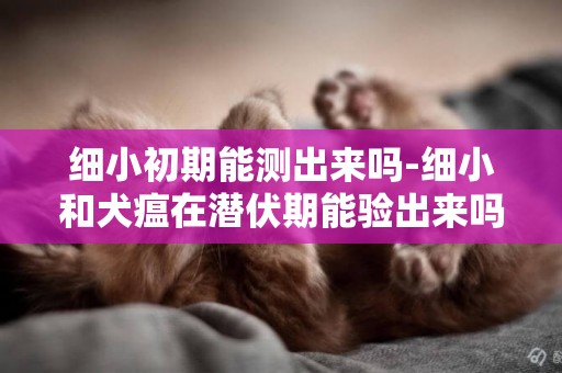 細小初期能測出來嗎-細小和犬瘟在潛伏期能驗出來嗎？