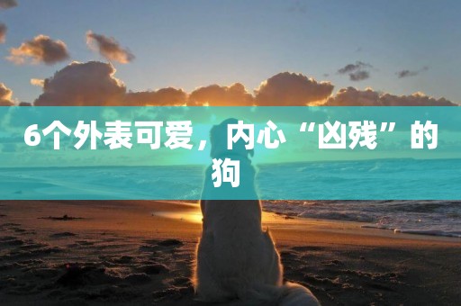6個外表可愛，內心“兇殘”的狗 