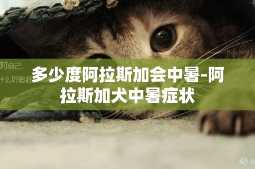 多少度阿拉斯加會中暑-阿拉斯加犬中暑癥狀