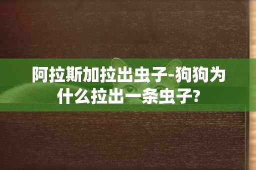 阿拉斯加拉出蟲子-狗狗為什么拉出一條蟲子?