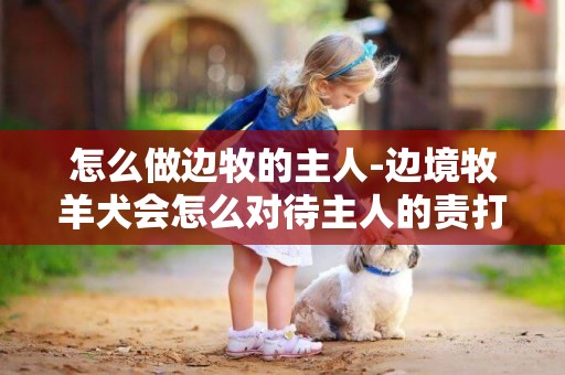 怎么做邊牧的主人-邊境牧羊犬會怎么對待主人的責打?
