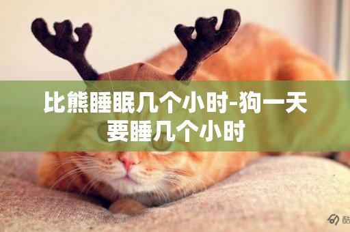 比熊睡眠幾個小時-狗一天要睡幾個小時