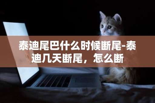 泰迪尾巴什么時候斷尾-泰迪幾天斷尾，怎么斷