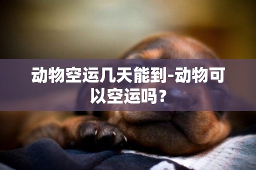 動物空運幾天能到-動物可以空運嗎？
